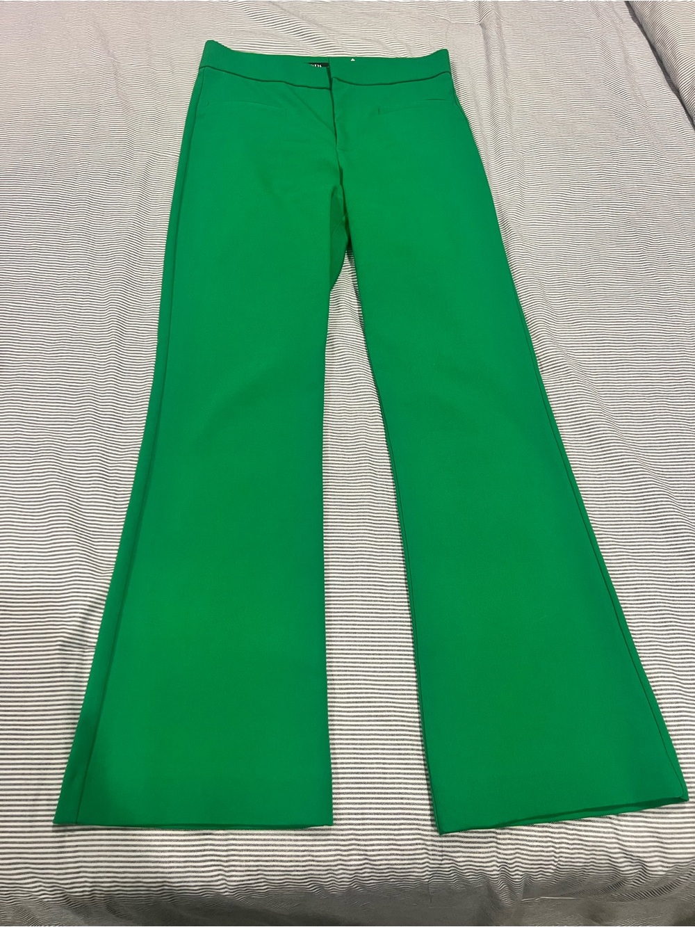 Zara Emerald Green Pants